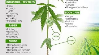The Botany of Desire 🙏
