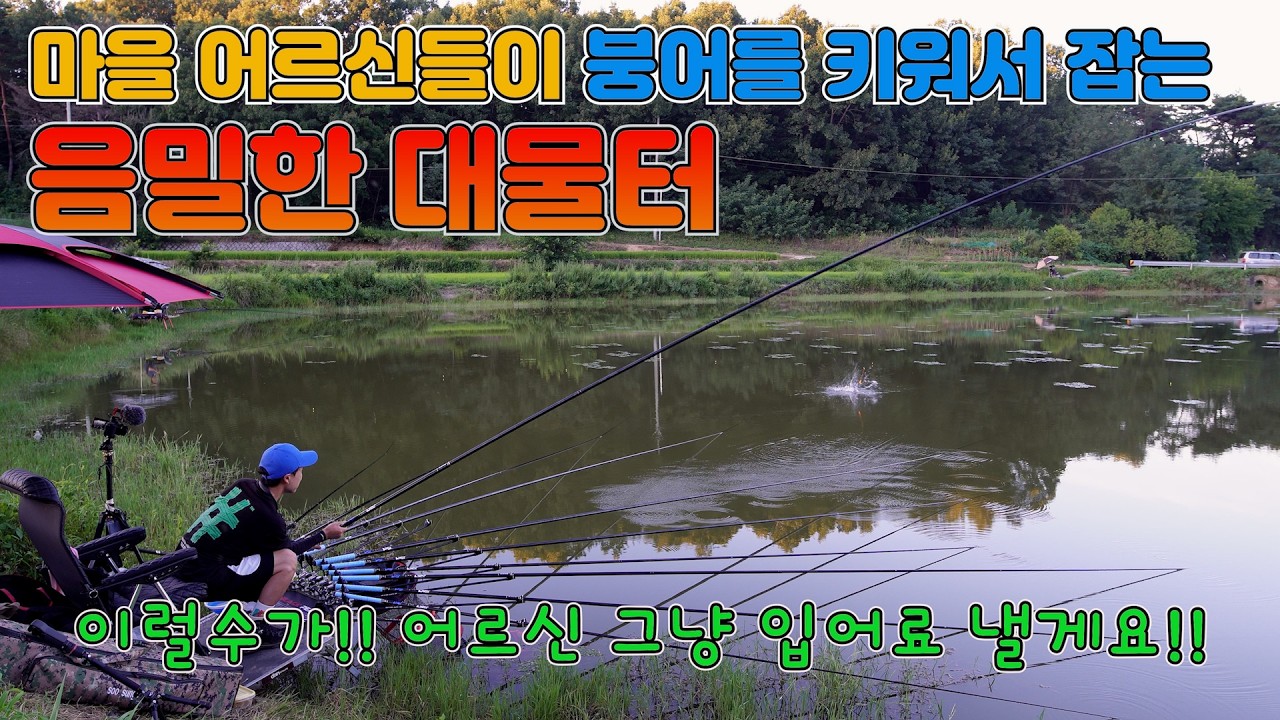 마을 어르신들의 은밀하고 위대한 작은 소류지 그곳에 험한 놈들이 살고있다!!