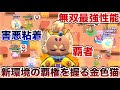 ブロスタ 新環境の覇者 ゴールデンキット でイキリ散らかすカス共全員引っ掻いて煽り無限粘着してみたWWWWWWWWWWWW ブロスタ 新環境の覇者 ゴールデンキット でイキリ散らかすカス共全員引っ掻いて煽り無限粘着してみたWWWWWWWWWWWW