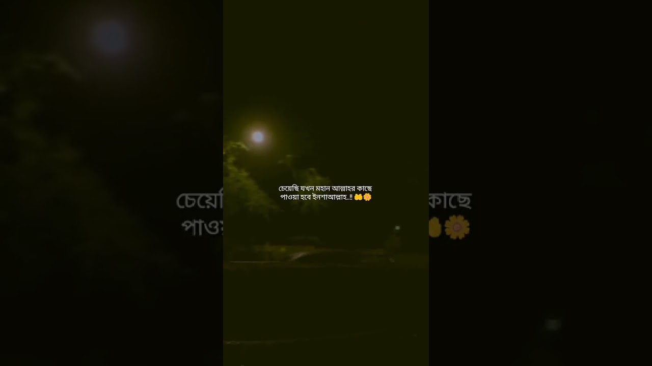 Text Video part   25 