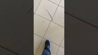 Со Мной Воюет Сатана