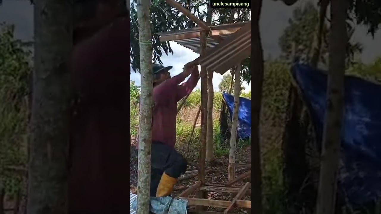 farmer from borneo 55