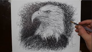 how to draw a bald eagle by worlds fastest scribbler