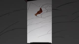 Dragon Speed Drawing