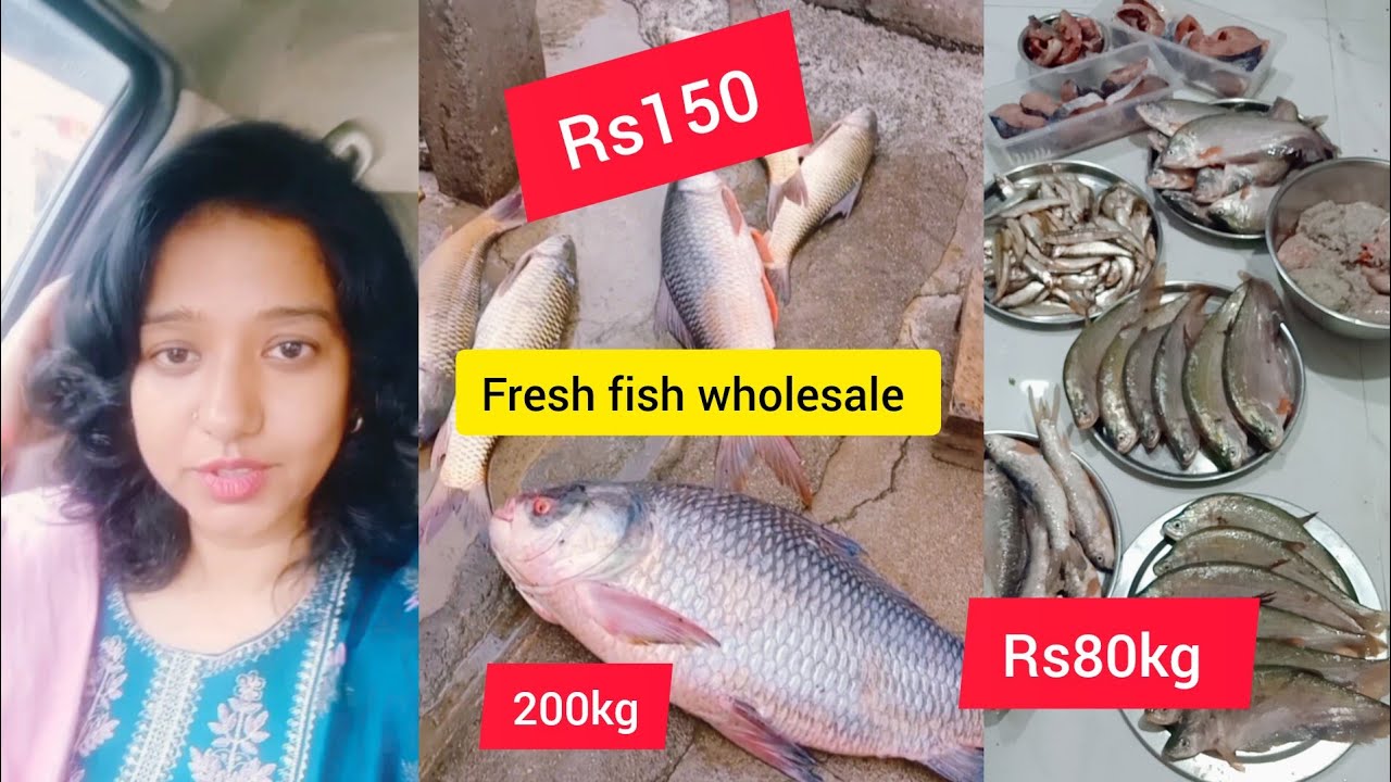 Aziz Fish Aziz Nagar fish market | wholesale price Hyderabad fish | rough ...