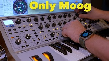 Moog Subsequent 37 - X-Continuum