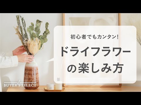 バイヤーズセレクト】暮らしに寄りそう花たち。ドライフラワーセットの