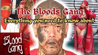 Everything you need to know about The Bloods Gang .