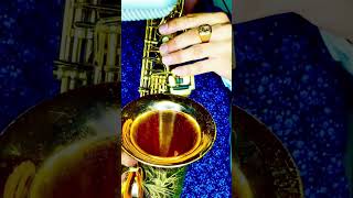 картинка: София Ротару и Яак Йоала - Лаванда (SAX cover by OppositeMus)