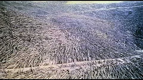 WA National Guard response to Mt. St. Helens erupt...