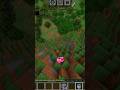 Minecraft: Cooked! #viral #trending #shorts
