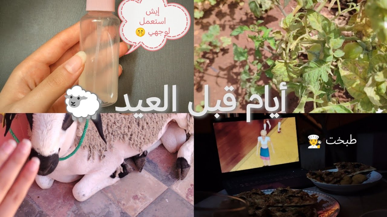 أجواء ما قبل العيد🐑😍 الصوم و تحضير الفطور معكم✨ إيش استعمل لوجهي 🥰