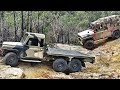 Perentie 6x6 & 4x4 @ Menai