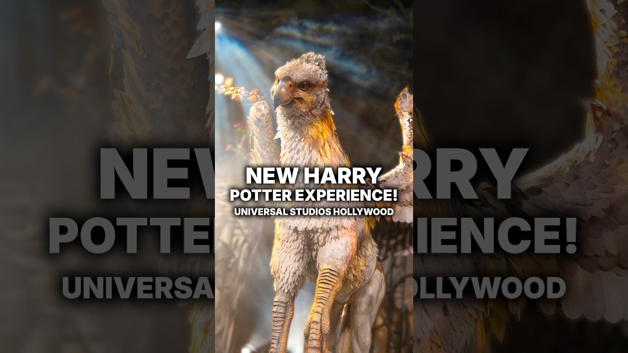 Universal Studios Hollywood has a NEW Harry Potter Attraction!