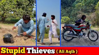 Stupid Thieves Aqib Ali Aqib Chor