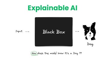 Explainable AI Intoduction | (XAI #1)