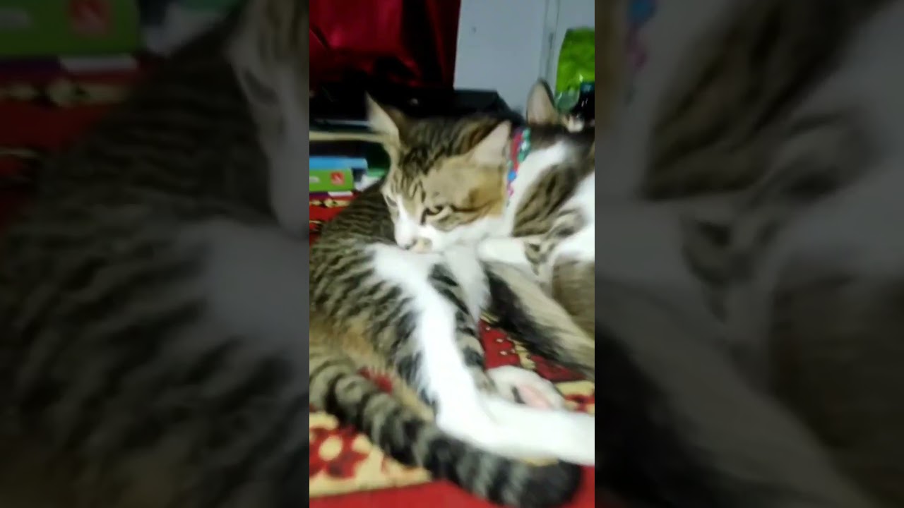 finally patch up ho gya 💞 