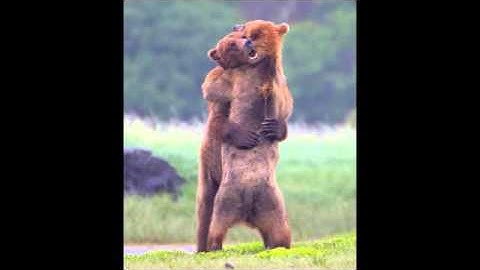 Hey there! Do you need a hug?