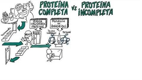Complete Protein VS Incomplete Protein