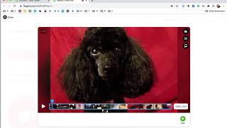 Combining Multiple Video Clips Using Flipgrid (plus trim & reorder clips)