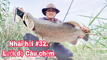 Lure Cá Lóc Bằng Nhái Hơi Phần 32. Lưỡi Câu Nhái Thật Trị Cá Nhát..Đụng Độ Cá Chẽm/ Đại Ngáo Vlog