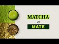 Yerba mate vs matcha  health benefits caffeine preparation and flavor of matcha vs mate