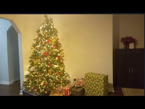 Vlog#11 TianesFam ( Christmas 2022 )
