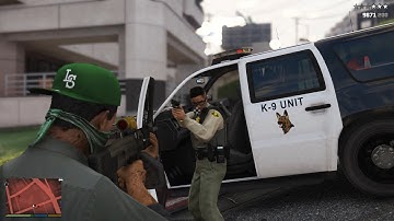 GTA 5 Lamar Davis Madrazo Cartel Shootout + Cop Battle/+ 10 Star Escape (RDE 4.1.2)