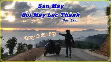 HƯỚNG DẪN ĐƯỜNG ĐI SĂN MÂY LỘC THÀNH - BẢO LỘC DỄ ĐI NHẤT | ĐIỂM SĂN MÂY ĐANG HOT