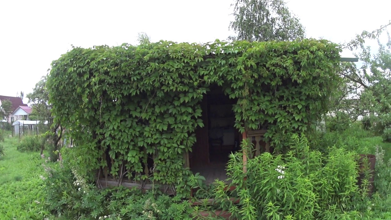 Участок Рядом С Спб Недорого Купить