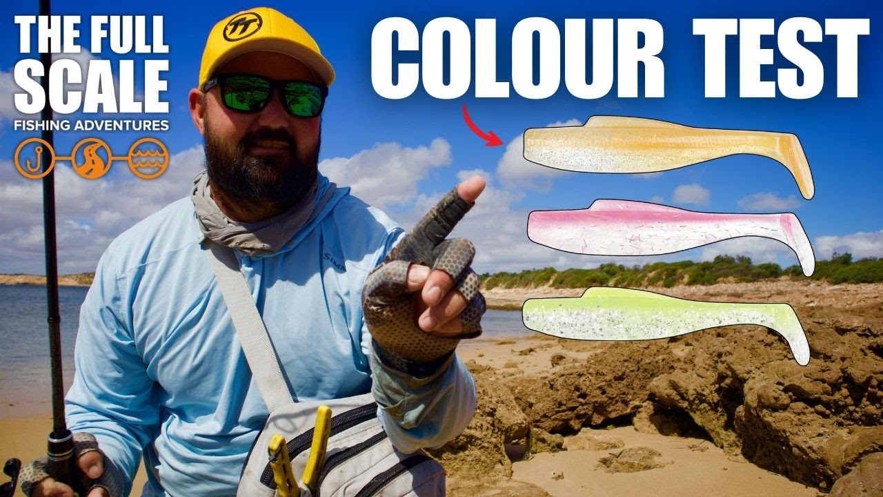 Рыбалка на суше: тест цвета приманки | Полная шкала