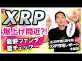 【リップル(XRP)】次の暴騰タイミングは〇〇!重要ファンダについてチャート付きで徹底解説!