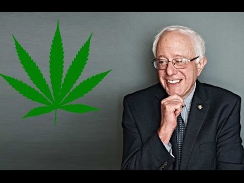 Bernie Sanders Introduces Ending Federal Marijuana Prohibition Act