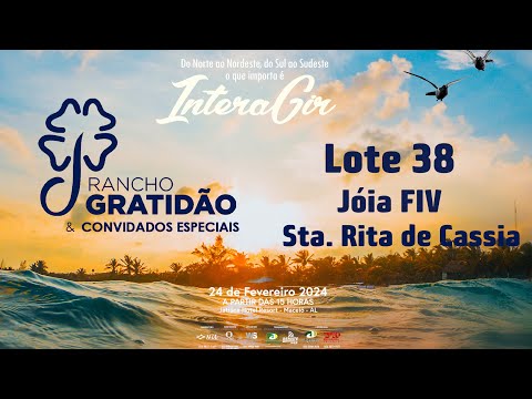 Lote 38   Joia FIV   DACG 96