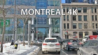 Driving Downtown  Montreal 4K  Canada