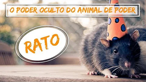 Qual a simbologia do rato?