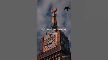 القرآن الكريم بصوت ٍهادئ جميل 💆🧡||القارئ:عبد الرحمن مسعد ||سورة الروم