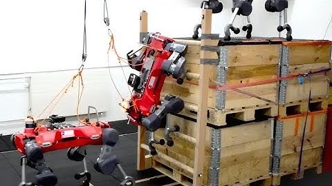 Can This Robot Redefine Climbing Forever?