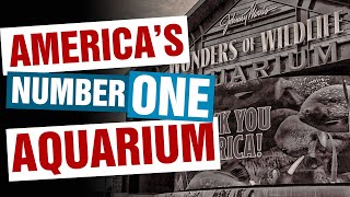 BEST of Springfield, MO: A Look Inside America's Number One Aquarium: The Wonders of Wildlife