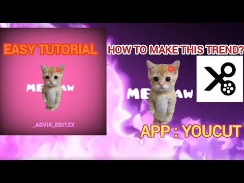 Meaw Meaw Trend Tutorial | Ek Taraf Ras Malai, Dusri Taraf Chuiya Aai 😍🍬🍭