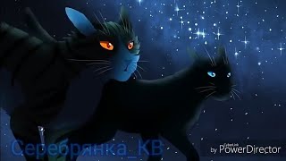 {Клип.Коты - Воители ~ За нами едут полицаи}