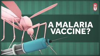 A Vaccine for Malaria!