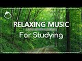 🌳👨‍🏫 RELAXING MUSIC for CONCENTRATION and STUDYING. Featuring WOODS. #studymusic