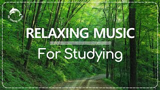 🌳👨‍🏫 RELAXING MUSIC for CONCENTRATION and STUDYING. Featuring WOODS. #studymusic