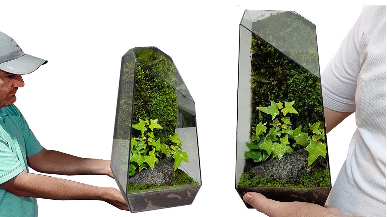 How to Create a Terrarium with Moss – 46 & Spruce