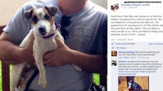 Lady adopts dog... just to sell it on Craigslist?