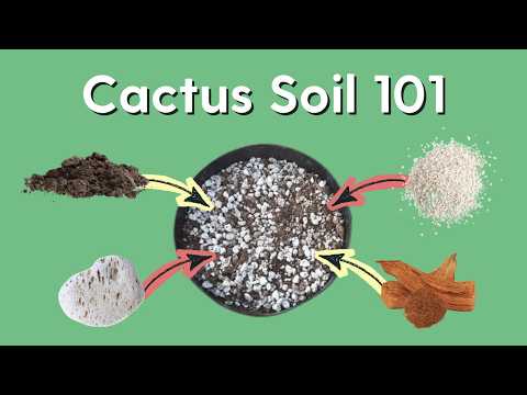 Cactus Soil 101: How to Make a Simple Potting Mix - YouTube