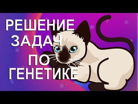 Как рассчитать частоты встречаемости фенотипов животных по окрасу меха в популяции кошек