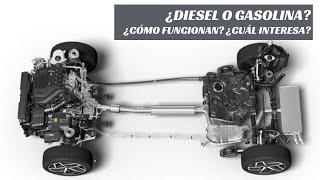 Diésel y gasolina: ¿Cómo funcionan, cuál interesa?