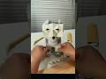 Teach you how to make a fun eye mask toy with paper